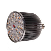 لامپ رشد گیاه حبابی